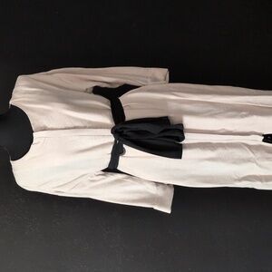 Zara Basic Black and Cream Dress